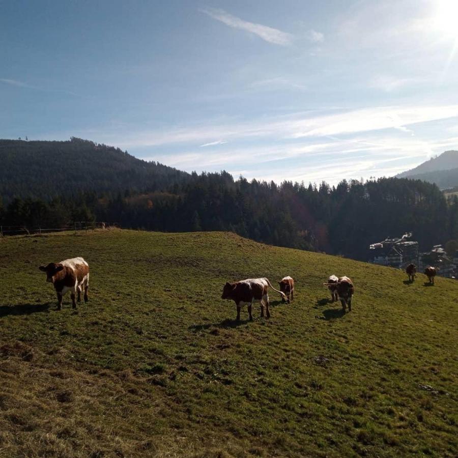 S'Heimatgfuehl Vila Schwarzenberg  Exterior foto